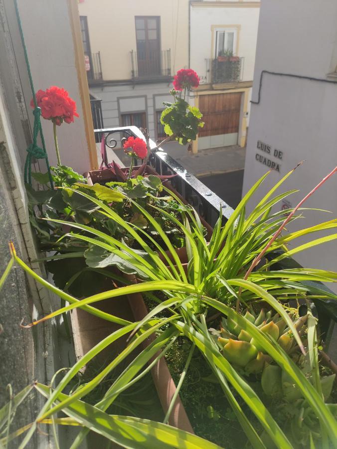 Apartamento Vive Triana Sevilla Exterior foto