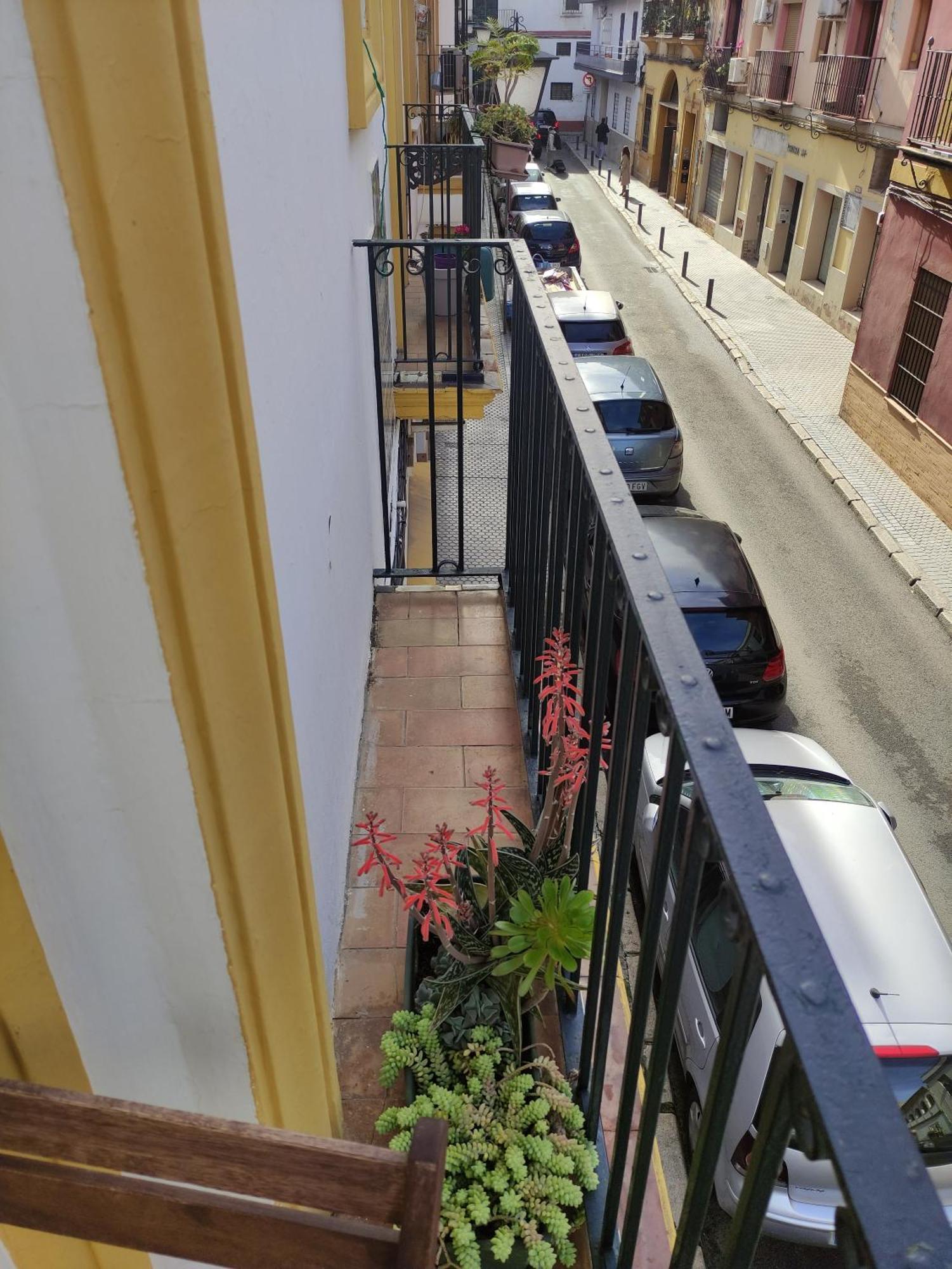 Apartamento Vive Triana Sevilla Exterior foto